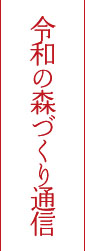 令和の森づくり通信